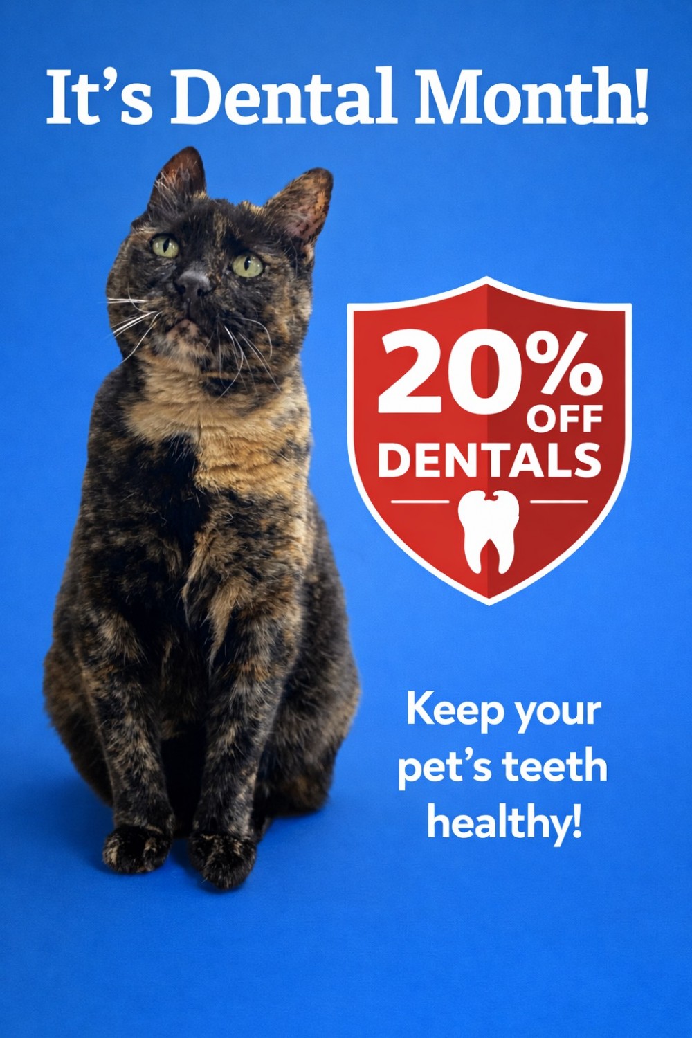 Pearl dental month Pearl dental month